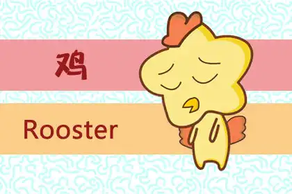 不缺追求者 氣質完美的生肖女