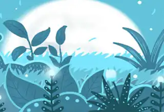 霉運拋掉，經歷風雨後彩虹更燦爛的生肖