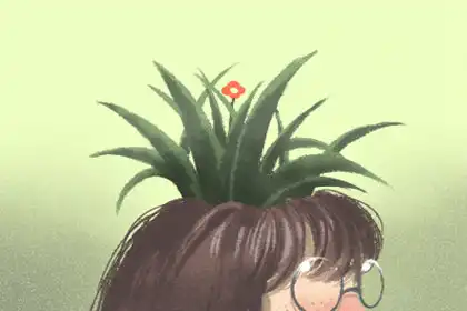 容易走上事業巔峰的生肖排行