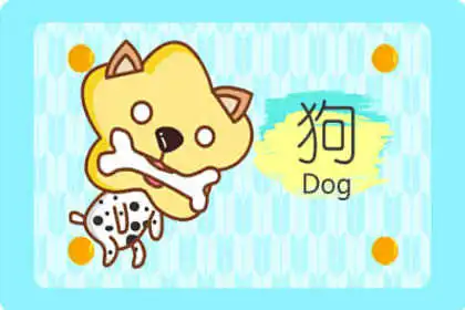 88年屬龍男和94屬狗女配嗎