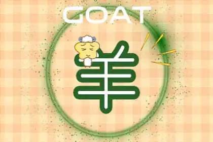 三觀極正人緣特好的生肖