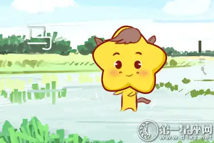 這些生肖女簡直是再世智者