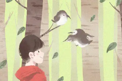 那些生肖最喜歡美色
