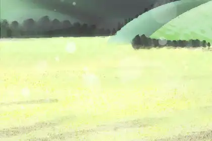 這些生肖女結婚後就是給家人當保姆