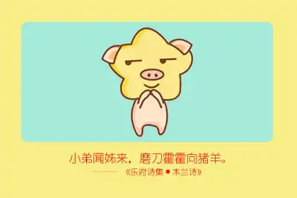 每天都打扮得花枝招展 不正不上街的生肖女