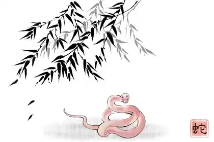 精明生肖 能看破騙局的生肖女