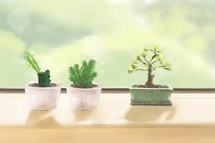 張盛舒：最容易大齡單身的生肖女