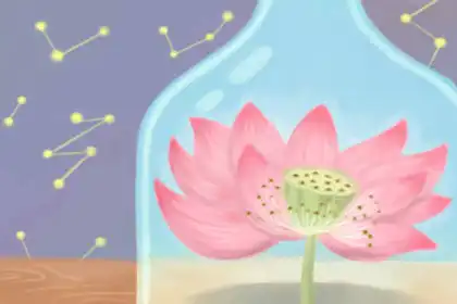 第一印象很重要，對於這些生肖