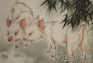 自作多情,在這些生肖眼裡你只是空氣