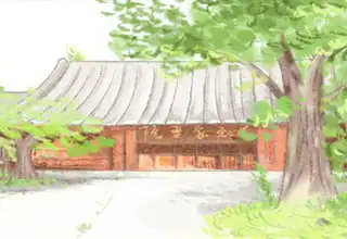 被肉隱藏的顏值，減肥後男帥女靚的生肖