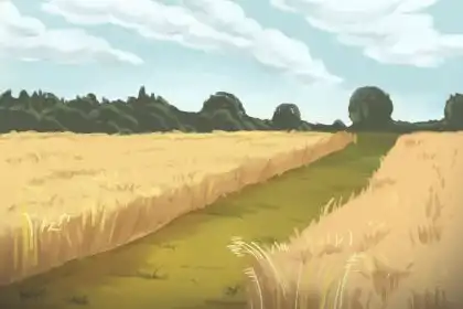 為什麼家裡要有大屬相 家裡沒有大屬相沒有福氣嗎