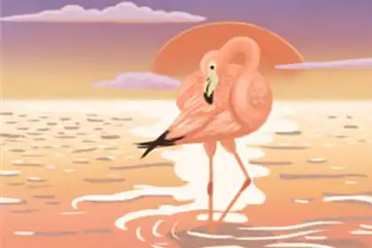 會死人的，那些從不敢遲到的生肖