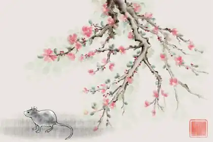 鼠和羊在一起誰帶財 水能生木鼠給羊帶來財運