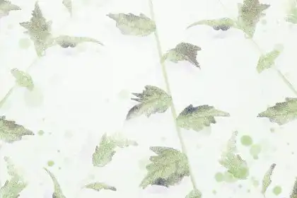 這些生肖女友有一顆易碎玻璃心