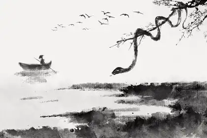 最聰明迷人 有魅力的4大生肖女