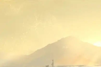 十二生肖是掏空你的錢包還是你的身體