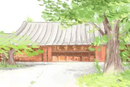 笨小孩有天眷顧，傻人有傻福的四大生肖