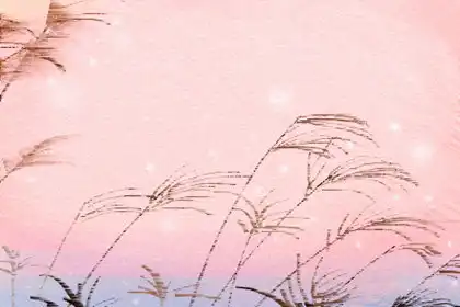 今年可以擺脫單身的生肖女