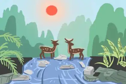 12生肖養什麼寵物可以旺運