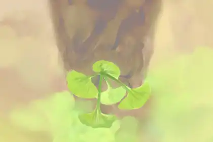 假如只剩下三天壽命，十二生肖怎麼過