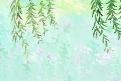 十二生肖女從起床到出門要花多久時間