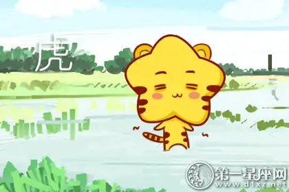 每天都要看新聞的生肖男