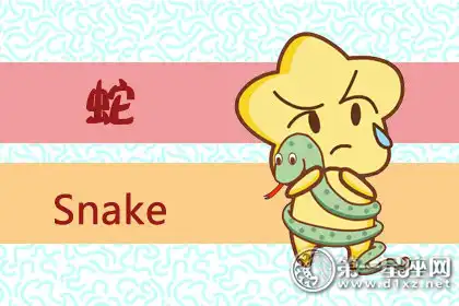 輸了永遠不怕重來的生肖