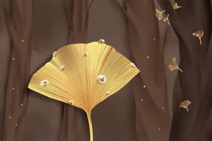 搞不懂,但是又忍不住讓人去照顧的生肖女