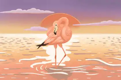 下半年可能會破財的三大生肖排行