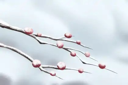 不是冤家不對頭，這些生肖配對總是小冤家