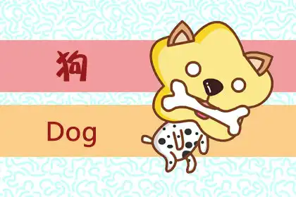 堅持自我 敢於表達自己的生肖