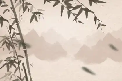這些生肖女比起小影片更喜歡看小黃文