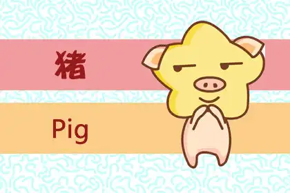 總想快人一步 卻發現自己不是那塊料的生肖