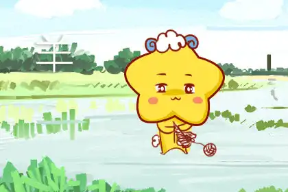 對待事物有自己獨到見解的生肖