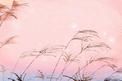 追這些生肖女就得死纏爛打