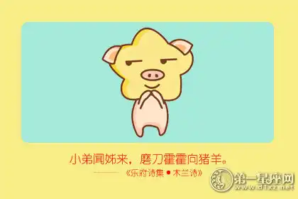 存心沒事找事 腦子發泡的四大生肖