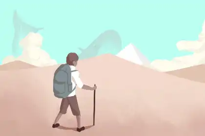 十二生肖如何應對大暑節氣