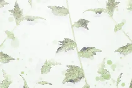 家庭聚會，這些生肖需要親戚計算機