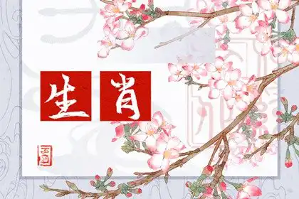 生肖屬相相生相剋相衝表 十二生肖衝剋表