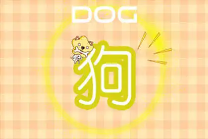 88年屬龍男和94屬狗女配嗎