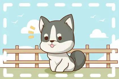 有魅力 超級吸引男人的生肖女人