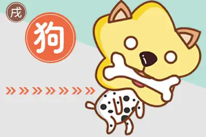 舉止笨拙 經常讓人捧腹大笑的生肖男