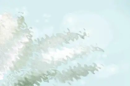 12生肖每週的星期幾運勢最好？