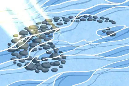 最適合一起工作的生肖配對