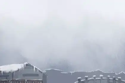 努力不一定成功，所以直接放棄自己的生肖