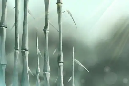 運氣越來越好，做生意跟他合作準沒錯的生肖