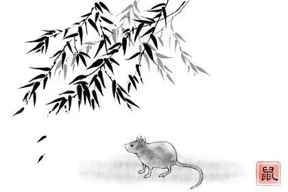 心最狠最壞最毒的生肖 生肖解析