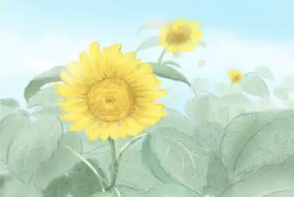 12生肖的劫數在幾歲，不得不看！